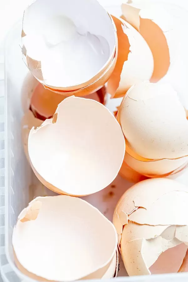 Empty broken egg shell (Flip 2020)