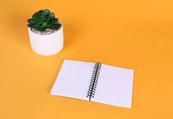 Empty notebook with flower on orange background