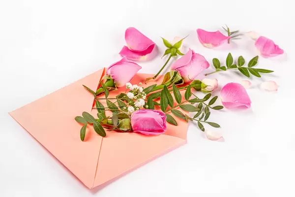 Envelope with rose flowers and petals, white background