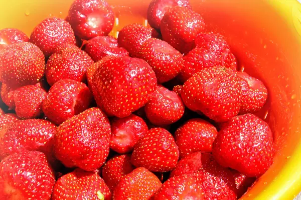 Erdbeeren