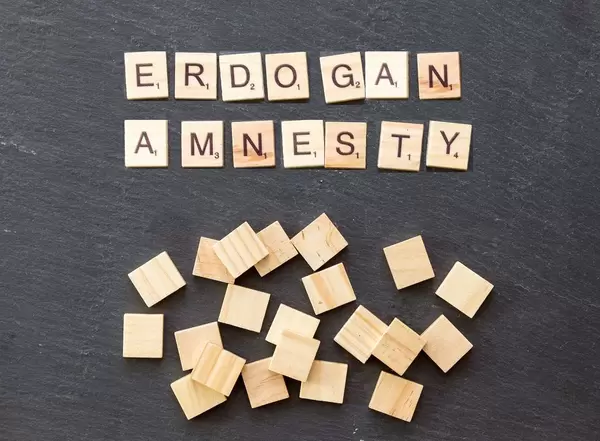 Erdogan lässt Amnesty-Chef in der Türkei festnehmen