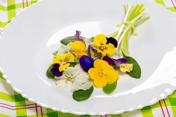 Essbarer Strauß aus Salatblättern und Blüten auf weißem Teller