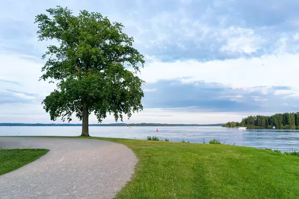 Evening tranquil scene of lonely tree standing at the edge of the land before the vast lake