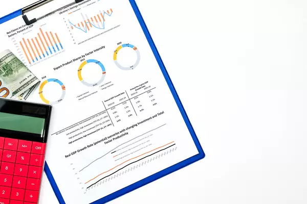 Examining the Economic Impact of COVID-19
