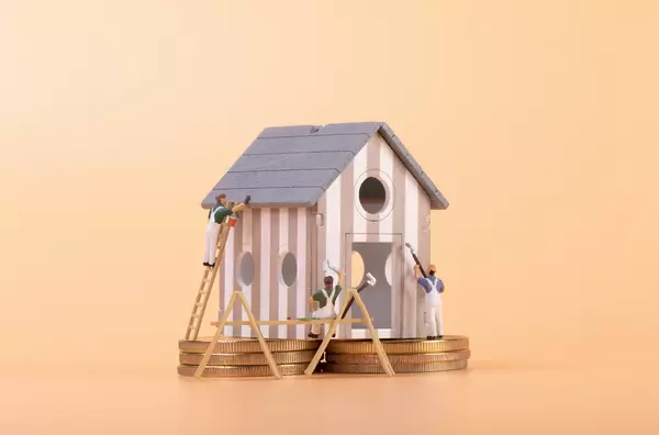 Expensive house renovation concept