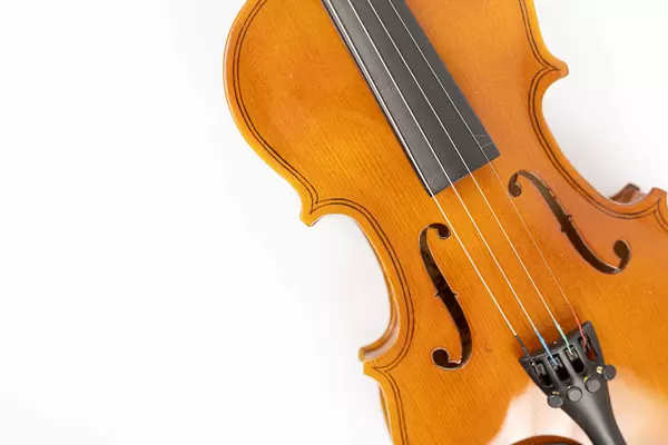 F holes on the Violin above white background with copy space