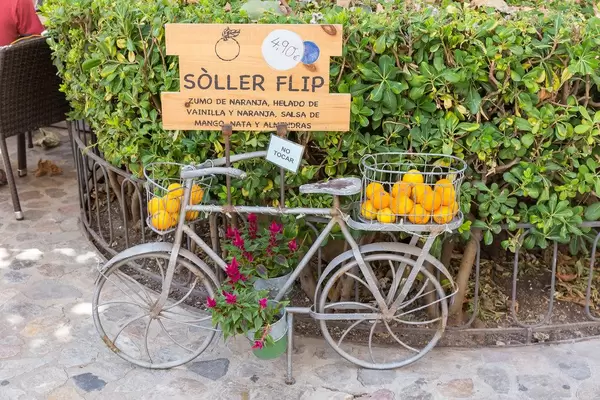 Fahrrad aus Metall mit Blumen in Töpfen und Orangen in Körben. Orangensaft und Eis "Sóller Flip"