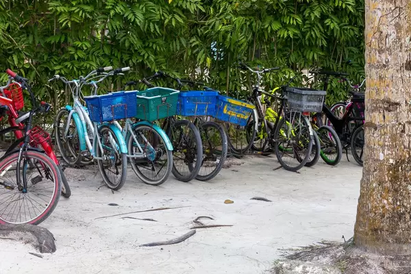Fahrräder mit Korb auf Gepäckträger im Retrolook auf der Fahrradinsel La Digue in den Seychellen