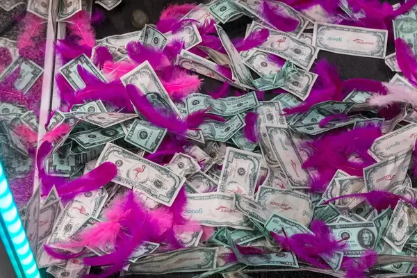 Fake flamingo currency by Saucony goodr and purple feathers