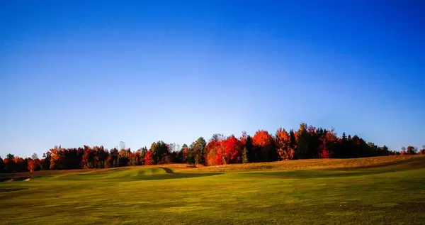 Fall Landscape  with Trees