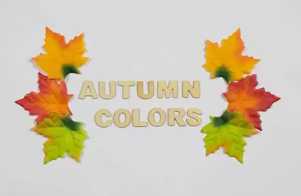 Fall leaves with text autumn colors