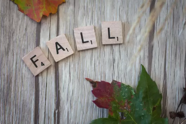 Fall Letters with leafs in the Background Top View
