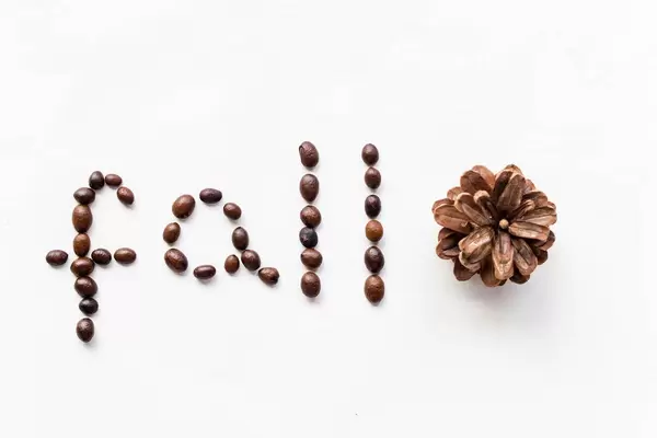 Fall written with coffee beans. Fall concept
