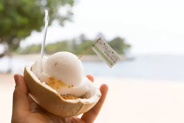 Famous Coconut Ice Cream