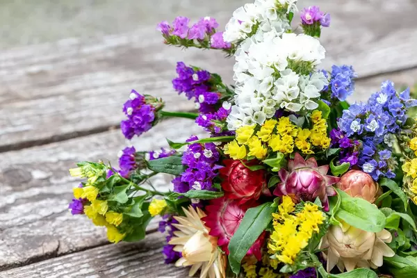 Farbenfroher Blumenstrauß aus Strohblumen, auf einem alten Holzuntergrund