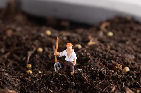 Farmer working on field