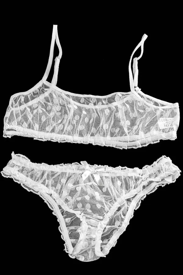 Fashion lace lingerie. White transparent women's underwear