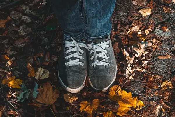 Feet in shoes on fallen dry leaves (Flip 2019)
