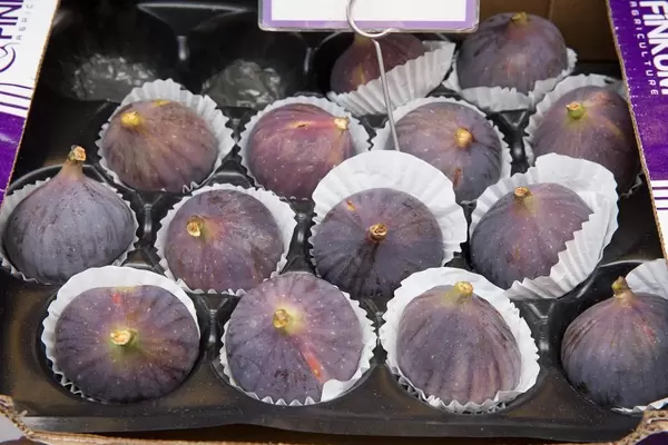 Feigen aus der Türkei - Kölner Chinafest 2017