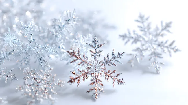 Feingliedrige Schneekristalle im Wintermärchen