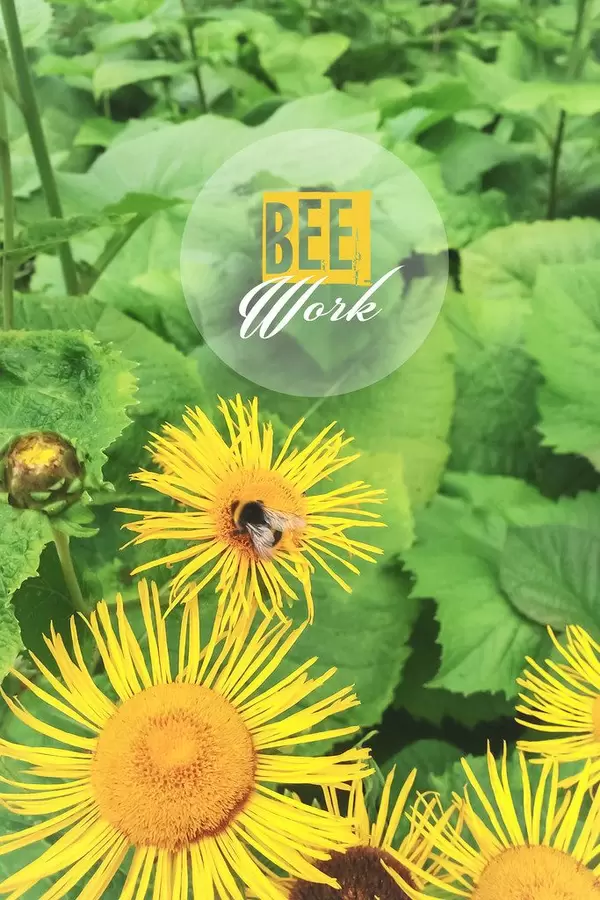 Felißige Biene auf der Blume