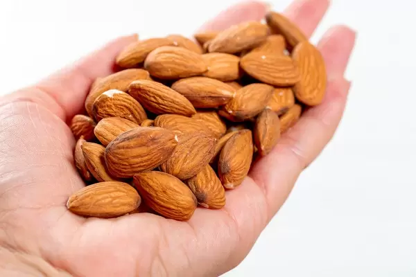 Female hand full of almonds nuts on white background