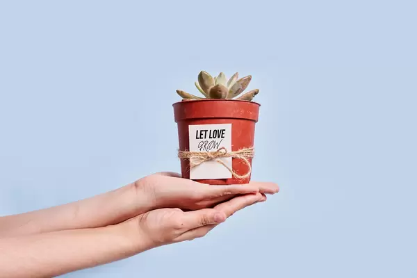Female hand holds a pot of home plant with text - Let love grow
