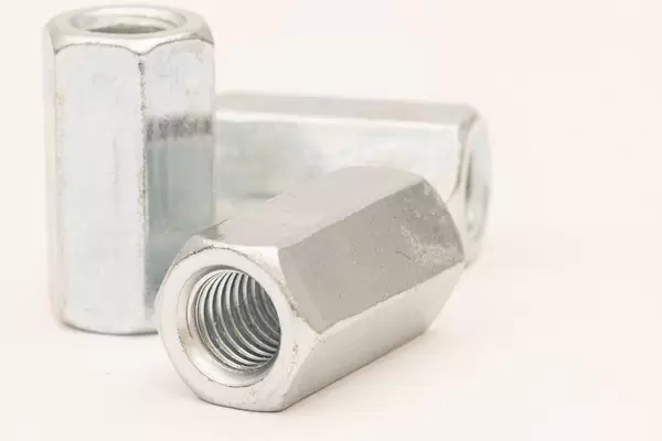 Female Nuts isolated above white background with copy space