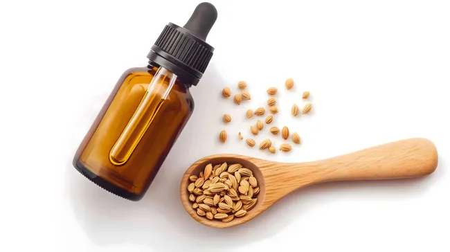 Fenchelsamen und ätherisches Öl in Glasflasche