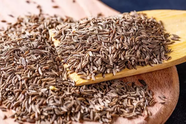 Fennel grass seeds