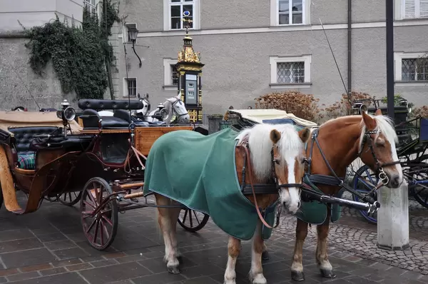 Fiaker in Salzburg
