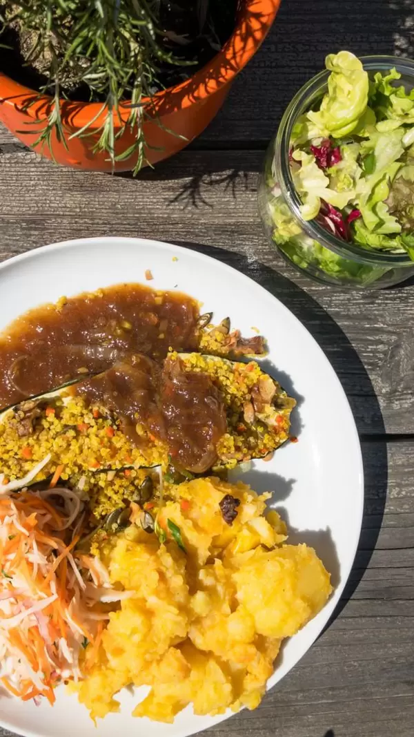 Filled zucchini with quinoa and nuts with vegan fried onions, carrots, white cabbage, mashed potatoes and pumpkin and a small salad