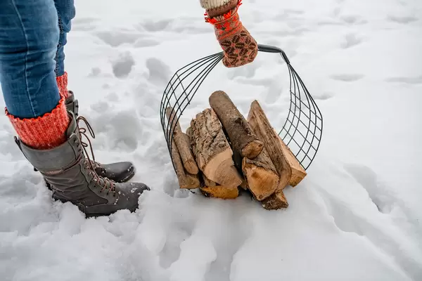 Firewood Picking During Cold Winter