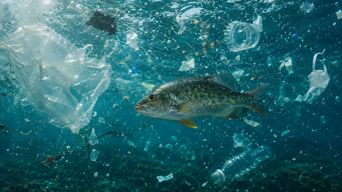 Fisch schwimmt zwischen Plastikmüll im Ozean