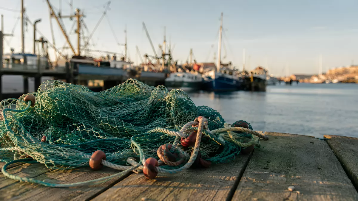 Fischnetz auf Holzsteg im Hafen bei Sonnenuntergang