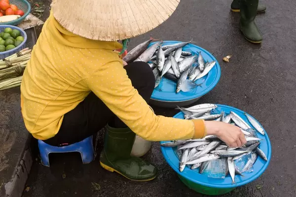 Fischverkäufer in Hoi An, Vietnam
