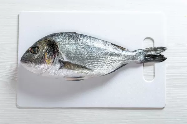 Fish dorado on white background (Flip 2019)