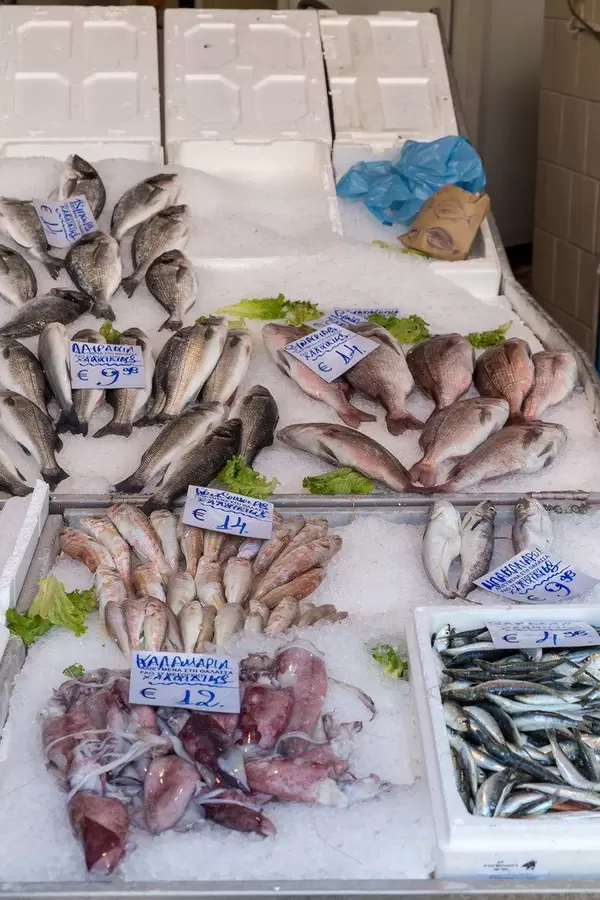 Fish shop at Kapani market