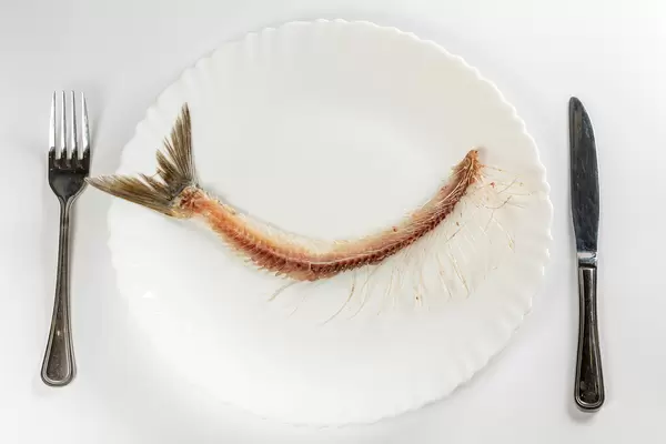 Fish skeleton on white plate with knife and fork