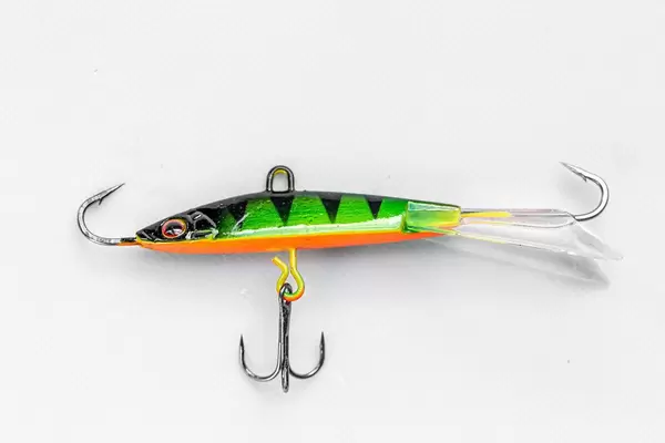 Fishing - bait for fishing predatory fish on spinning