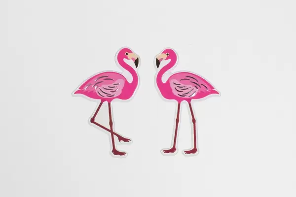 Flamingo couple