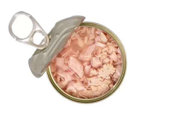 Flat lay above Canned Tuna Fish (Flip 2019)