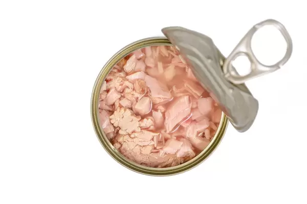 Flat-lay-above-Canned-Tuna-Fish.jpg