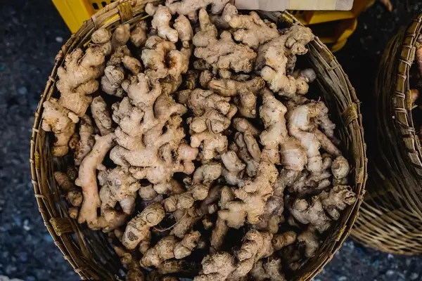 Flat lay of ginger crops on basket (Flip 2019)