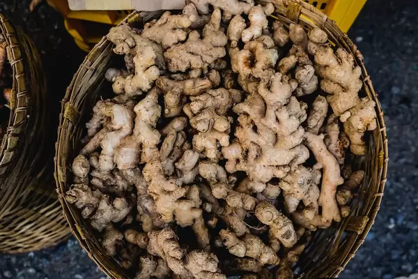 Flat lay of ginger crops on basket