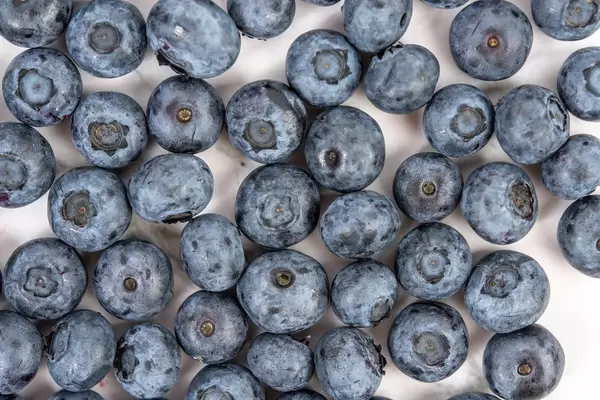 Flat-lay zeigt Blaubeeren als Hintergrund