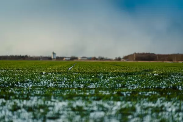Flat Rural Landscape With Snow, Low Sun And City Behind