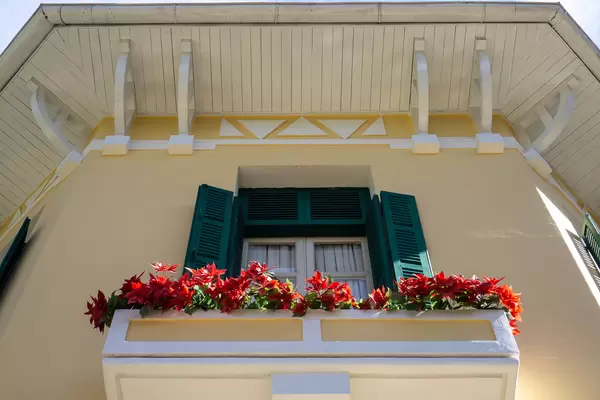 Flowers in front of a Wooden Window with Wooden Sun Blinds at the Bao Dai King Palace with French Architecture in Da Lat, Vietnam