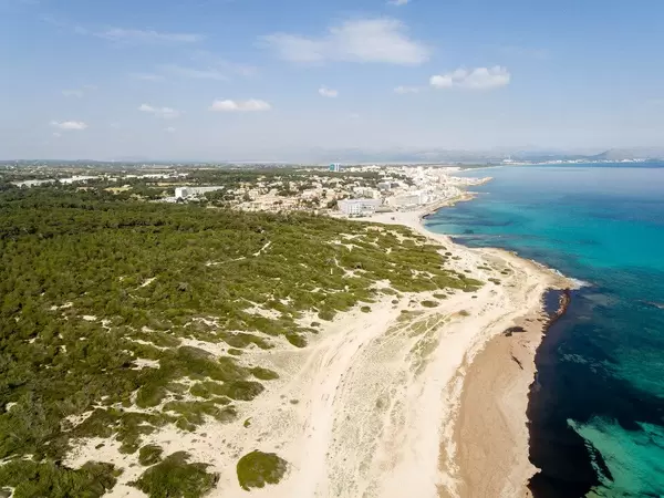 Forrest in Can Picafort