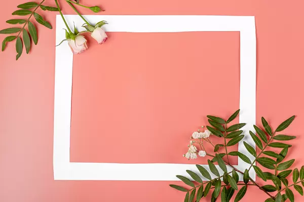 Frame on pink background with green leaves and roses, mother's day background